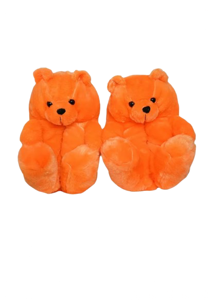 Baby Teddy Slippers